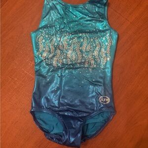 Blue and Teal Gymnastics Leotard
